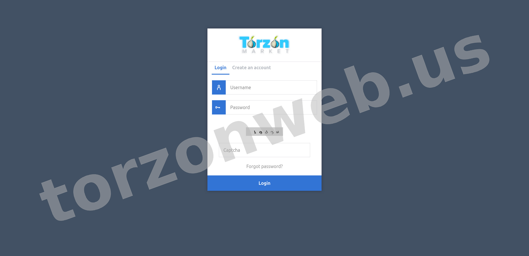 User Login Interface